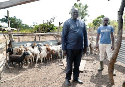  Projets emploi jeunes : le Coordonnateur Général du PSGouv, Non Karna, visite les fermes d'un groupe de jeunes  à Lolobo (Yamoussoukro)