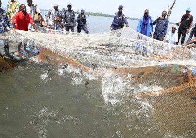 Projets réalisés dans le cadre du PA-PsGouv à N'douci,Tiassalé et Buyo : le chef de mission de la BAD, Raymond Besong satisfait des résultats