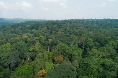 Protection de la faune et la flore : le gouvernement annonce la création d’une réserve naturelle d'environ 49 hectares à Alani (Rubino)