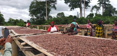 Protection sociale : le gouvernement adopte le Programme d'Investissement en Protection Sociale (PIPS) pour les secteurs agricoles et informels