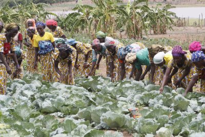 PSGouv 2 : des résultats visibles contribuant à l’amélioration des conditions de vie des ménages sur l’ensemble du territoire