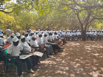 Qualité de la noix de cajou : Le Conseil coton anacarde sensibilise dans le Kabadougou