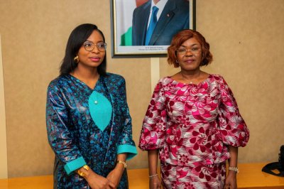 Recensement général de la Population: la Guinée à l’école de la Côte d’Ivoire