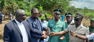 Reconstitution du couvert forestier ivoirien: le Programme d'Appui au Développement de la Filière Agricole (PADFA), mobilise contre la déforestation 