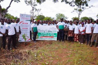 Reforestation du couvert ivoirien: Le Ministère de la Promotion de la Jeunesse initie un programme de reboisement