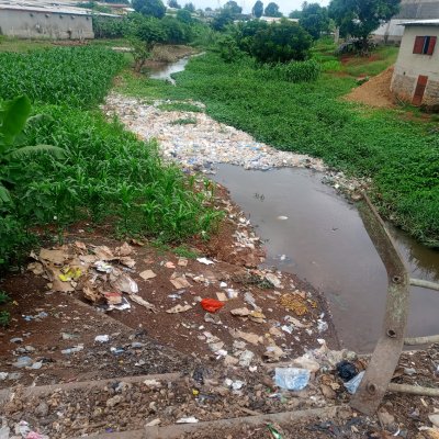 Région du Tonkpi-Environnement : La biodiversité de Man fortement menacée