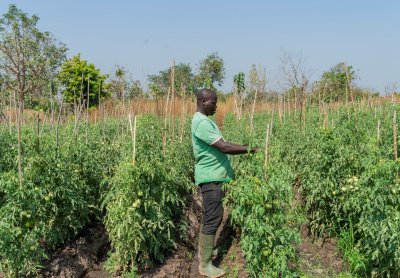 Régions du Poro, du Gbêkê et du Bélier : une mission de la Coordination Générale du PSGouv assure le suivi des activités
