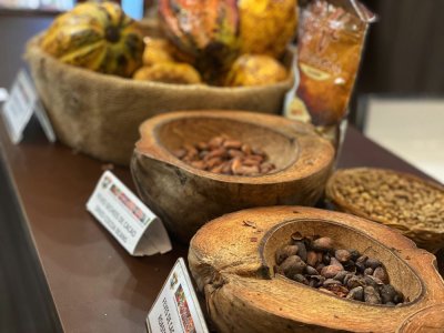 Respect du Différentiel de Revenu Décent (DRD) : la Côte d’Ivoire et le Ghana invitent l’industrie du cacao et du chocolat au respect de leurs engagements, au plus tard le 20 novembre 2022