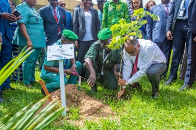 COP 15/ Restauration du couvert forestier ivoirien : le Premier Ministre Patrick Achi et une vingtaine d'autres personnalités participent à une opération de planting d'arbres