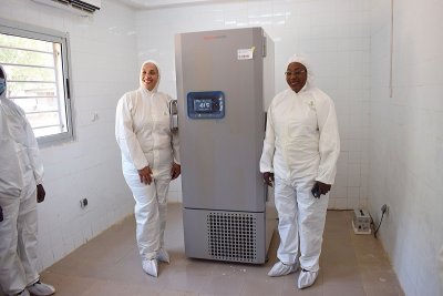 Santé animale : réduction des délais d’obtention des résultats des analyses de bactériologie au LANADA de Korhogo