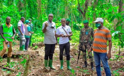 Protection des forêts classées : la Sodefor rassure les populations de Bossematié (Abengourou)