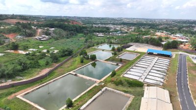 Stations de traitement de boues de vidange : Des ouvrages stratégiques pour la préservation de l’environnement