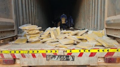 Côte d'Ivoire/Trafic de Drogue: Interpellation d’un individu et saisie de 25 kg de Cannabis d’une valeur de plus d’1 million de FCFA à Divo (police)