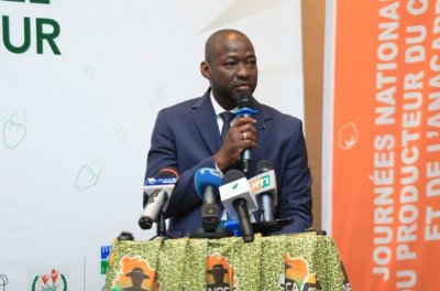 Une journée dédiée aux producteurs de coton et d'anacarde prévue du 17 au 18 janvier à Abidjan