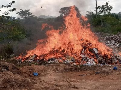 Plus de 12 millions de francs de drogues et de MQIF incinérés à Séguéla