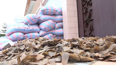 Trafic illicite d’animaux protégés: un réseau démantelé