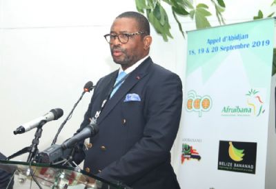 Concertation à Abidjan des producteurs africains de banane pour défendre leurs intérêts