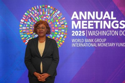 Washington : Nialé Kaba plaide pour un partenariat renforcé entre secteur public et privé au service du capital humain