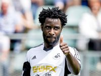 Swansea: Wilfried Bony dans les petits papiers d’Arsenal