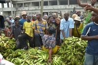 Secteur du vivrier / Pour lutter contre la cherté  de la vie : Voici ce que propose Irié Lou Colette