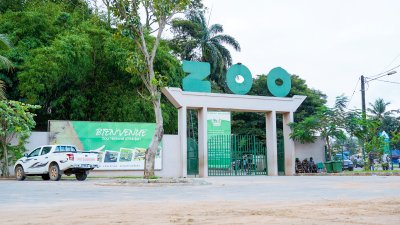 Zoo d’Abidjan rénové : l’antre de la biodiversité en plein cœur d’Abidjan