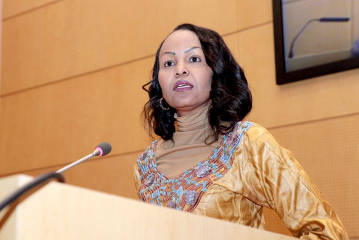 L’Afrique lancera un accord commercial panafricain en 2017