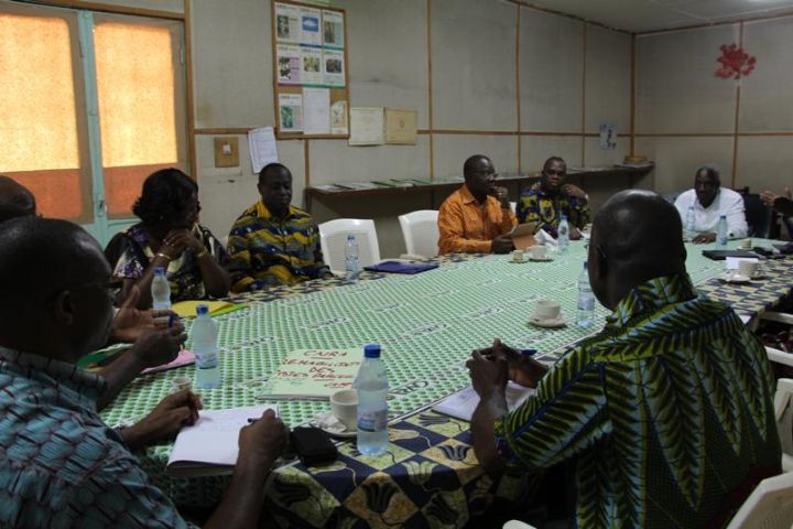 Palmier à huile : le CNRA redynamise son potentiel de production