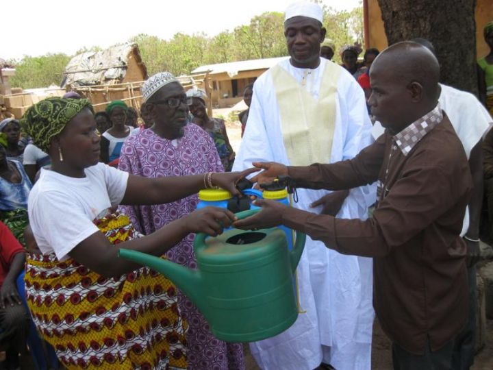 Korhogo, Binguébougou et Nénékri:  Don  de matériels agricoles aux productrices du maraicher