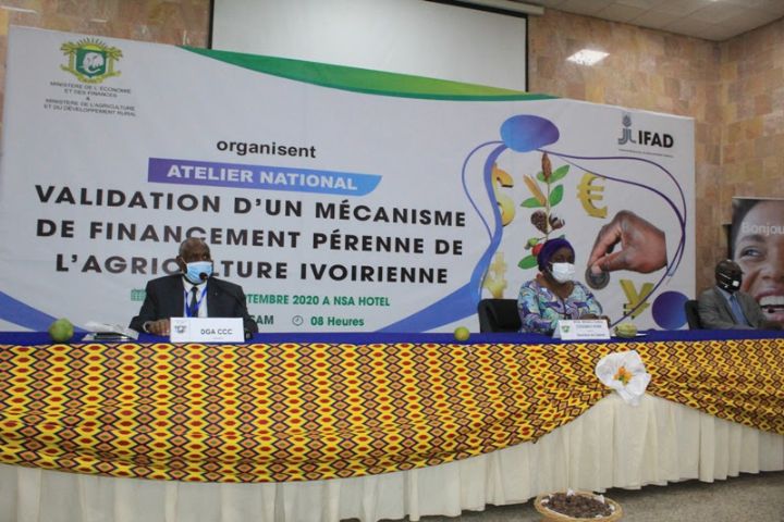 Côte d’Ivoire: réflexion sur un mécanisme de financement pérenne du secteur agricole