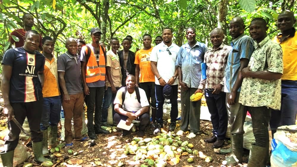 Agriculture / Amélioration de la sécurité et de la santé des travailleurs : l’inspection du travail débute la mise en œuvre de sa planification stratégique