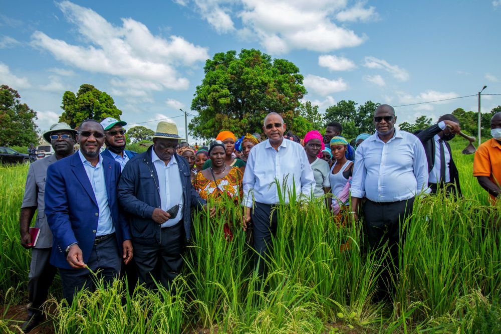 Agriculture : le Premier Ministre Patrick Achi réaffirme le soutien du gouvernement aux acteurs du secteur