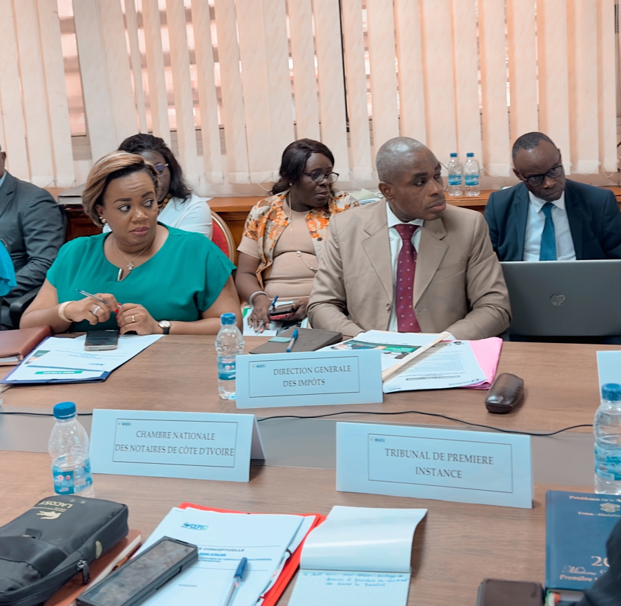 Amélioration des performances du guichet unique des formalités d’entreprises : les parties prenantes échangent sur la rationalisation du processus de pré-création d’entreprise