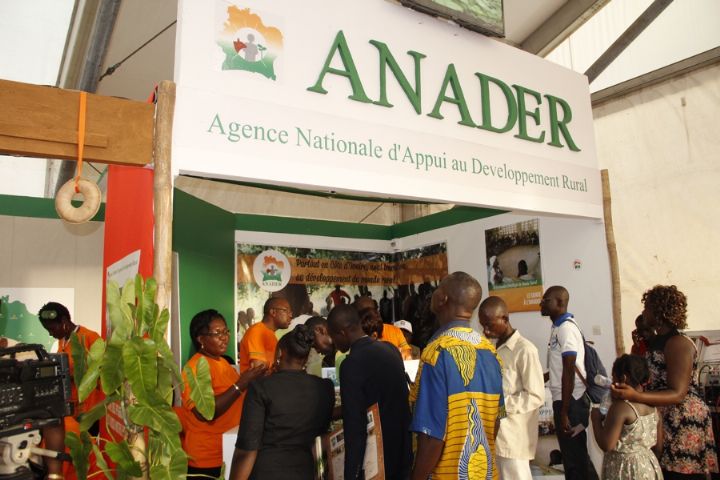 SARA 2015 : la filière coton dévoilée au grand public