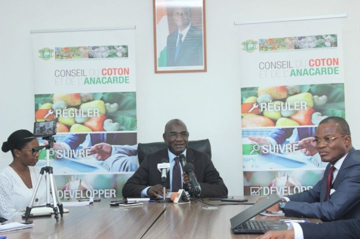 Transformation de l’anacarde : Un objectif de 130.000 tonnes visé en 2019