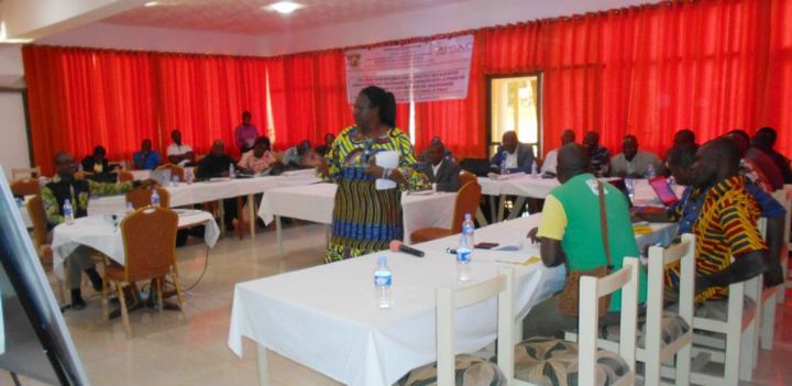 Promotion du genre dans le secteur agricole - Le PSAC veut intégrer les femmes dans la production du coton et de l’anacarde