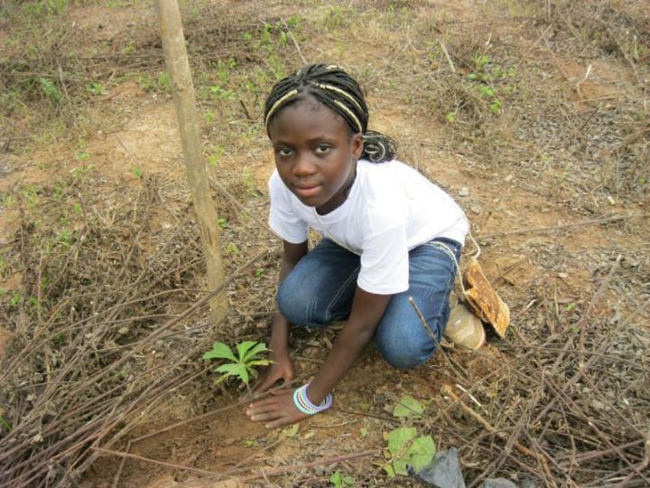 Korhogo/ La  colonie d’état de  vacances  2014 composée de 160 enfants  reboise à Kakologo