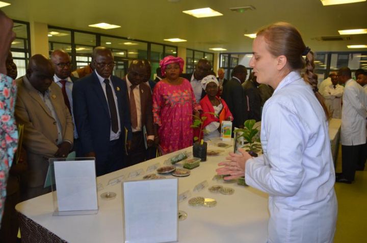 Des députés s’imprègnent des activités d’un centre de recherche et de développement à Abidjan