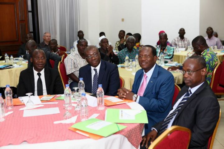 Le conseil du coton et de l ‘anarcade organise un atelier sur la carte sanitaire, le contrôle et la veille du verger anarcadier.