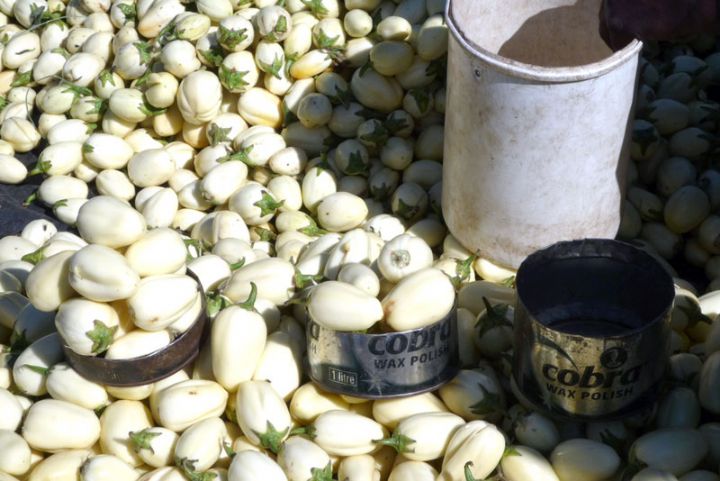 Cherté de vie : six aubergines se vendent à 200 F sur les marchés à Dabakala