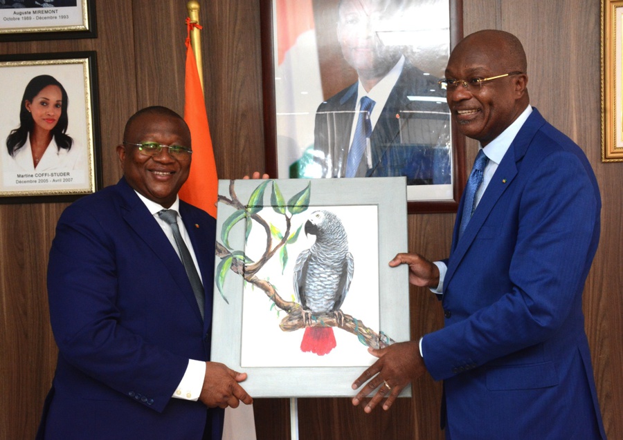 Audience/Télévision numérique terrestre (TNT) : le Gabon mise sur l’expertise ivoirienne