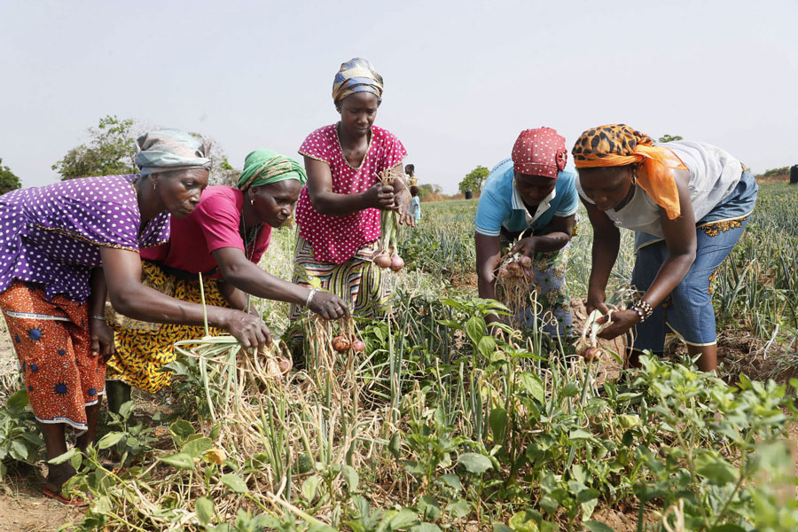 Autonomisation des jeunes et sécurité alimentaire : Le Programme Social du Gouvernement (PSGOUV2) obtient des résultats satisfaisants