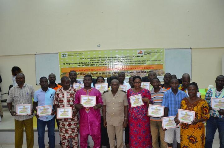 Korhogo: le métier de l’aviculteur, un secteur qui nourrit son homme et génère des emplois stables