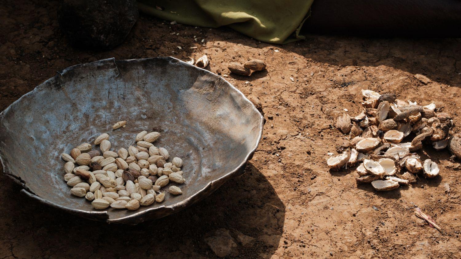 Plus d'une douzaine d'enfants sont morts à cause de la pénurie alimentaire dans un camp au Soudan - selon des médecins