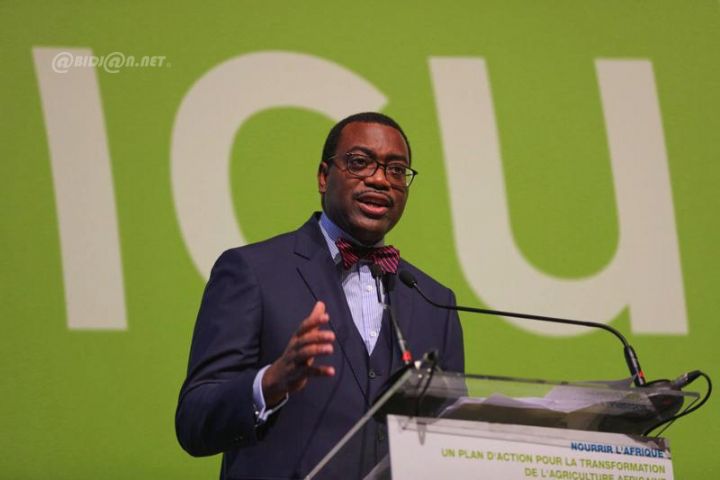 BAD: Adesina qualifie d’«allégations» des accusations de favoritisme au profit de ses compatriotes
