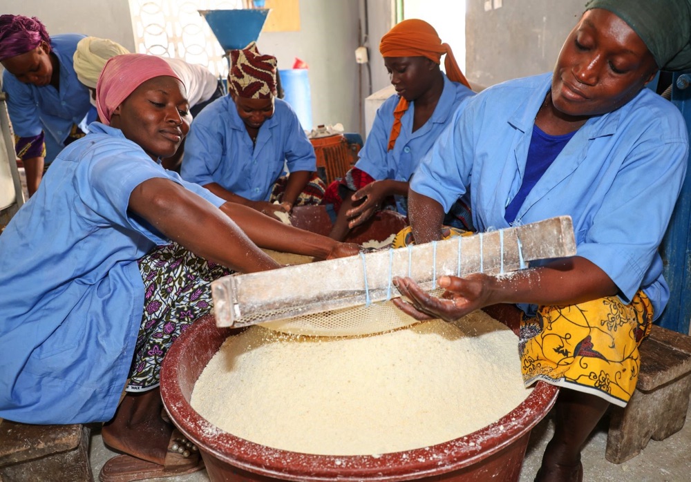 Bénéficiaire de l’accompagnement du PA Psgouv : l’Unité de Transformation de manioc de Broukro ambitionne de passer de 420 tonnes/an à 820 tonnes