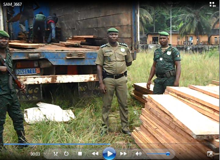 Bingerville - Saisie de bois frauduleux.