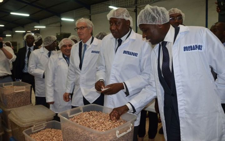 Transformation de l’anacarde : Le gouvernement ivoirien reçoit l’appui de l’institut Tony Blair/ Amadou Gon Coulibaly (Premier Ministre ivoirien) : « Nous devons aller au stade de la transformation »