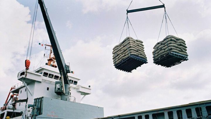 Exportation de cacao : Bolloré réalise des performances exceptionnelles