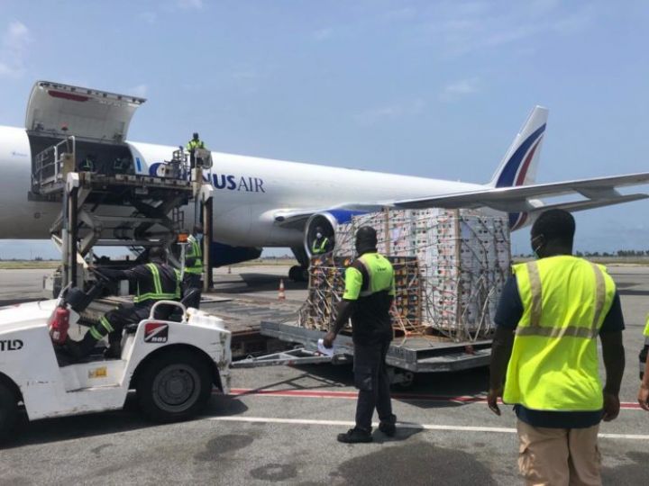 Bolloré Transport & Logistics appuie la filière Mangues en Côte d’Ivoire, au Burkina Faso et au Mali