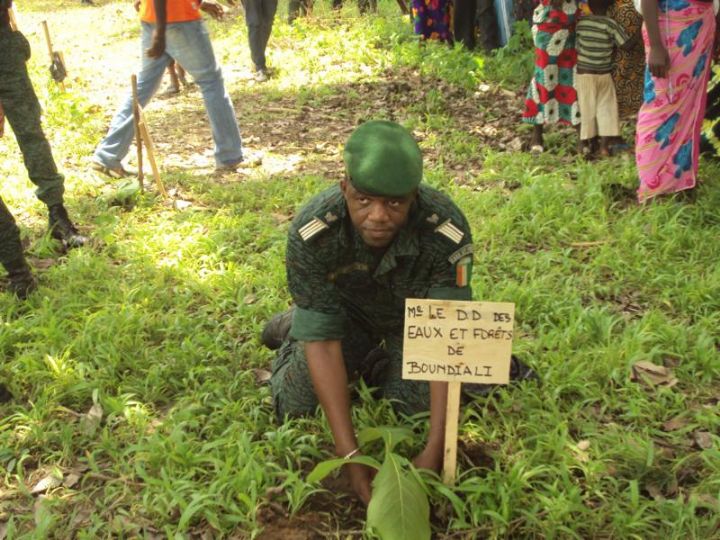 Boundiali/Reboisement: dans la ‘’bagoué’’ Les arbres plantés doivent être suivi comme des enfants